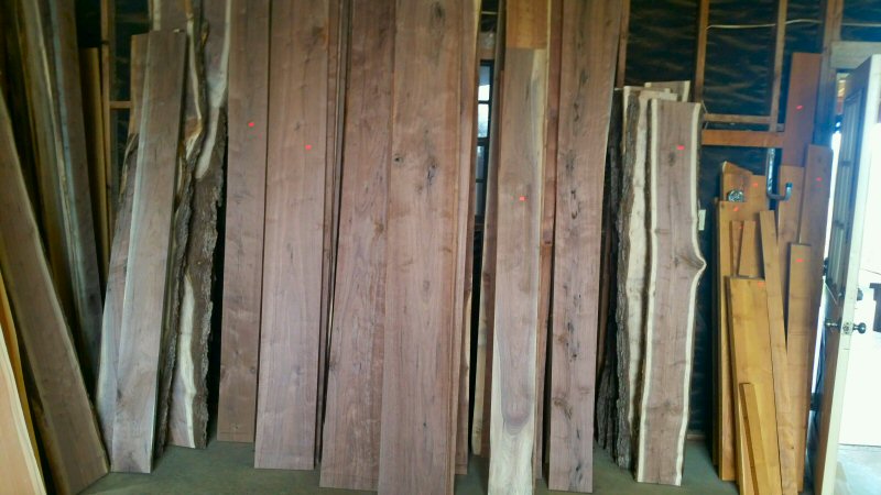 walnut